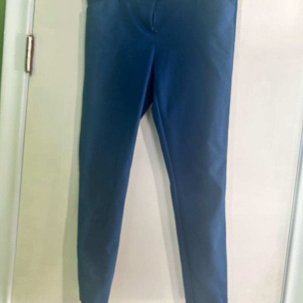 Blue Slim Fit Pants